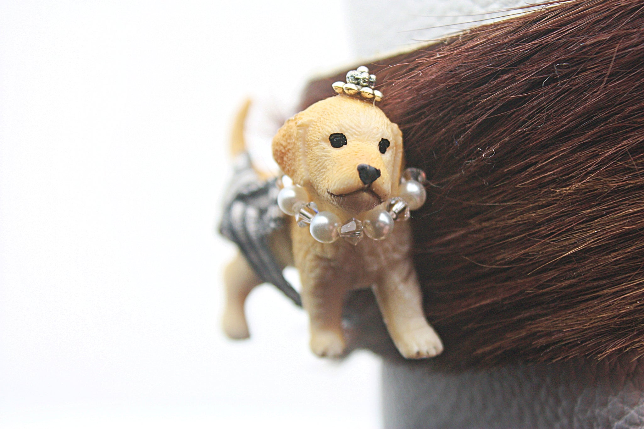 Animal Doggie